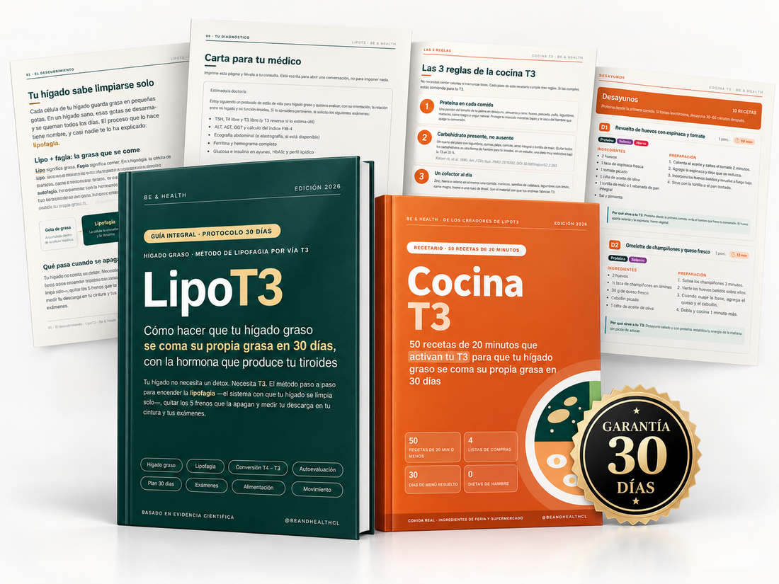 Guía LipoT3 · Be & Health · Edición 2026